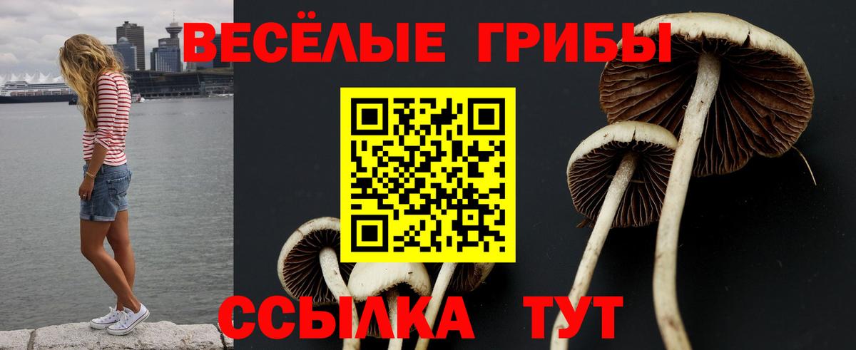 Коммунар  Псилоцибиновые грибы ЛСД  Вход с VPN 